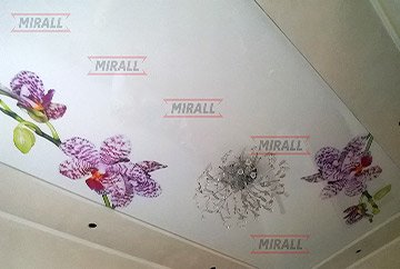 Фотографії натяжних стель