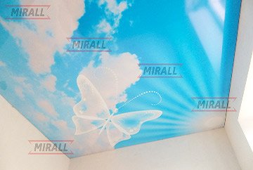 Фотографії натяжних стель