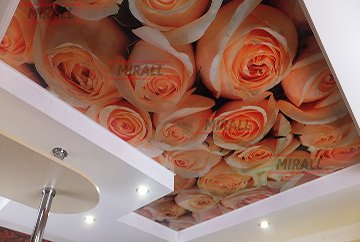 Фотографії натяжних стель в кухні