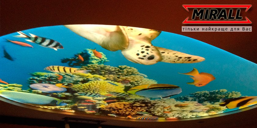 фотодрук на стелях